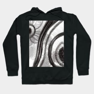 Concentric Hoodie
